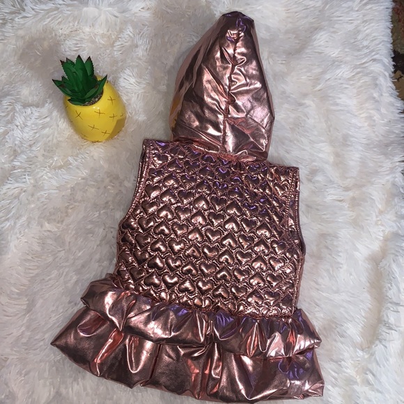 Little Lass Quilted Vest Toddler Girls 2T Full Zip Hooded - Picture 4 of 4